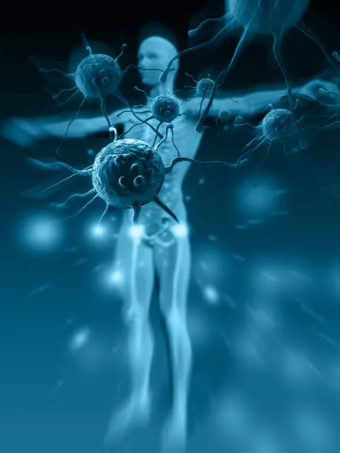 Immune system - Alcohol and the Effects it has on Your Health